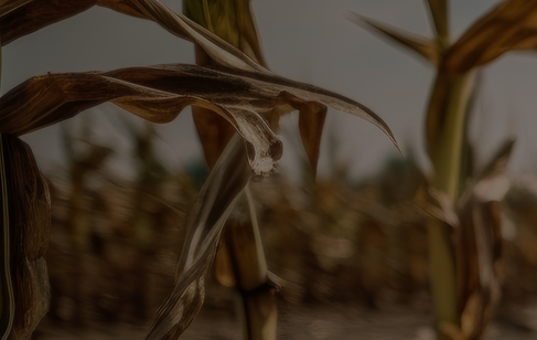 attclimate project